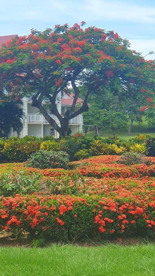 Ti Oasis Trinidad, Studio Vue Mer A Pierre & Vacances Sainte-Luce Kültér fotó