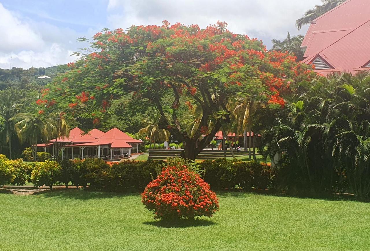 Ti Oasis Trinidad, Studio Vue Mer A Pierre & Vacances Sainte-Luce Kültér fotó